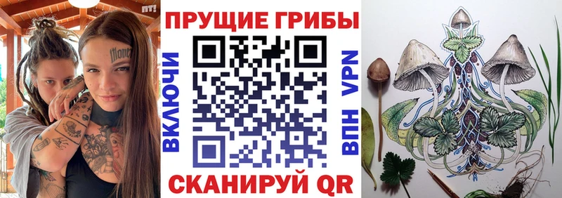Галлюциногенные грибы GOLDEN TEACHER  как найти наркотики  Приозерск 